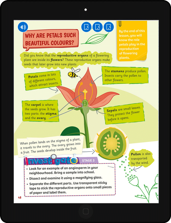 Pupil's eBook