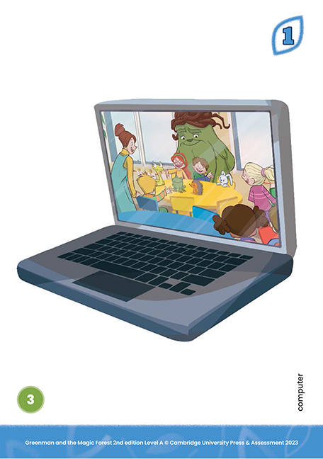 Flashcards