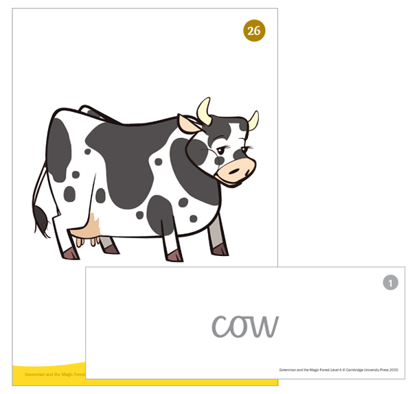 Vocabulary Flashcards and Wordcards (Level B)