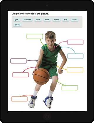 Digital Pupil’s Books and Activity Books