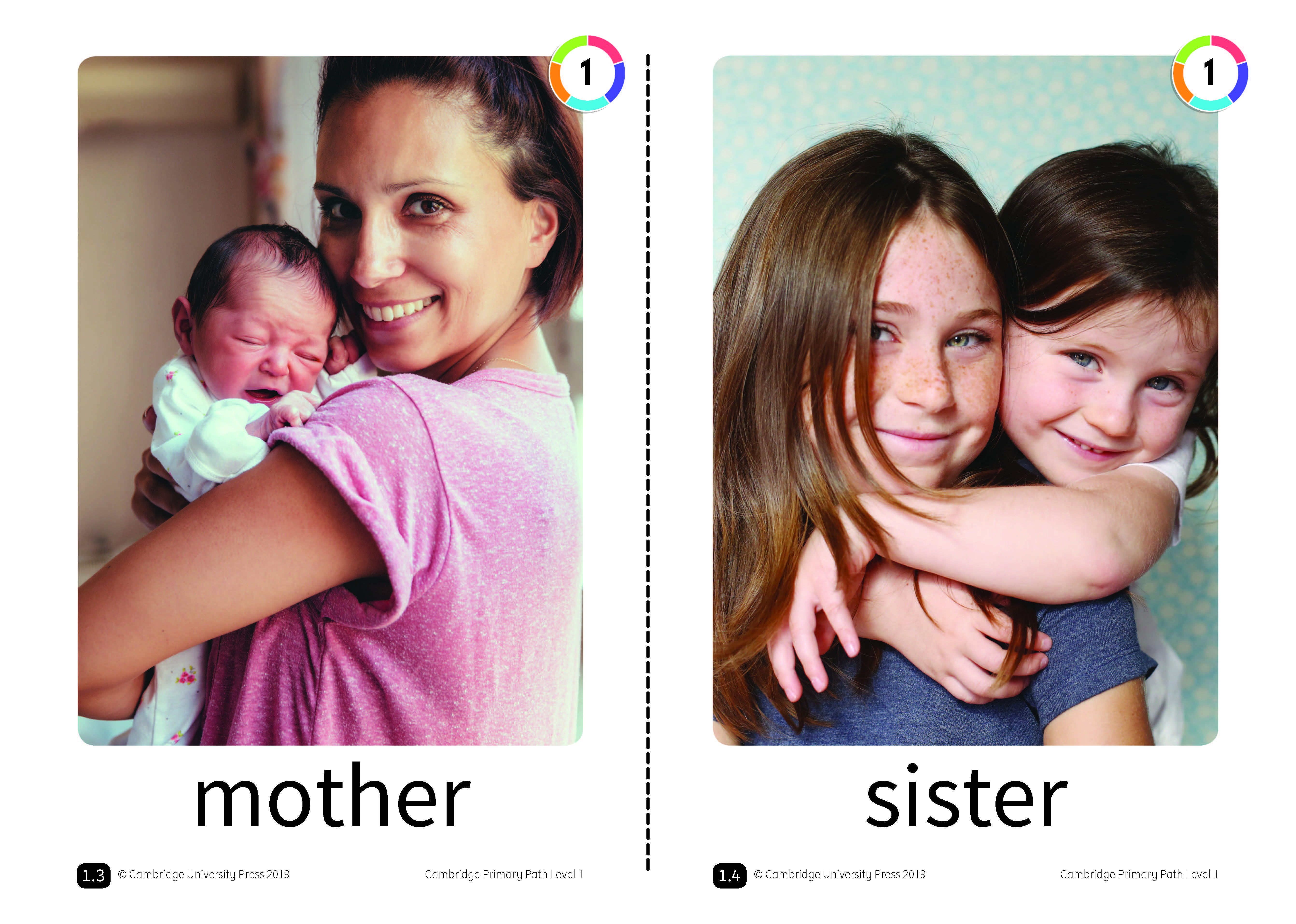 Flashcards