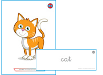 Flashcards y Wordcards