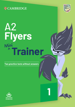 Minitrainer_Flyers